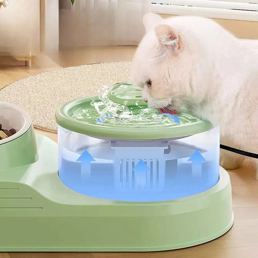 fontaine 2-en-1 chat