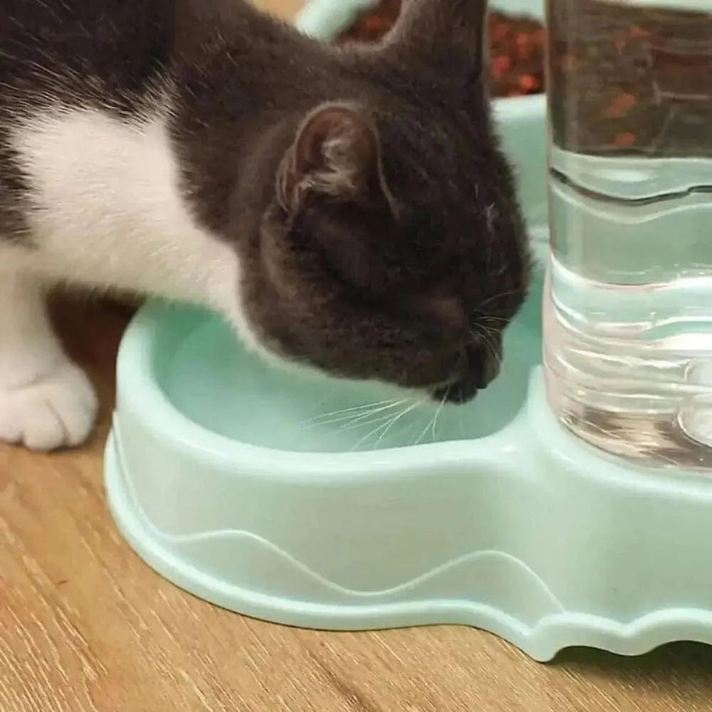 gamelle intelligente pour chat