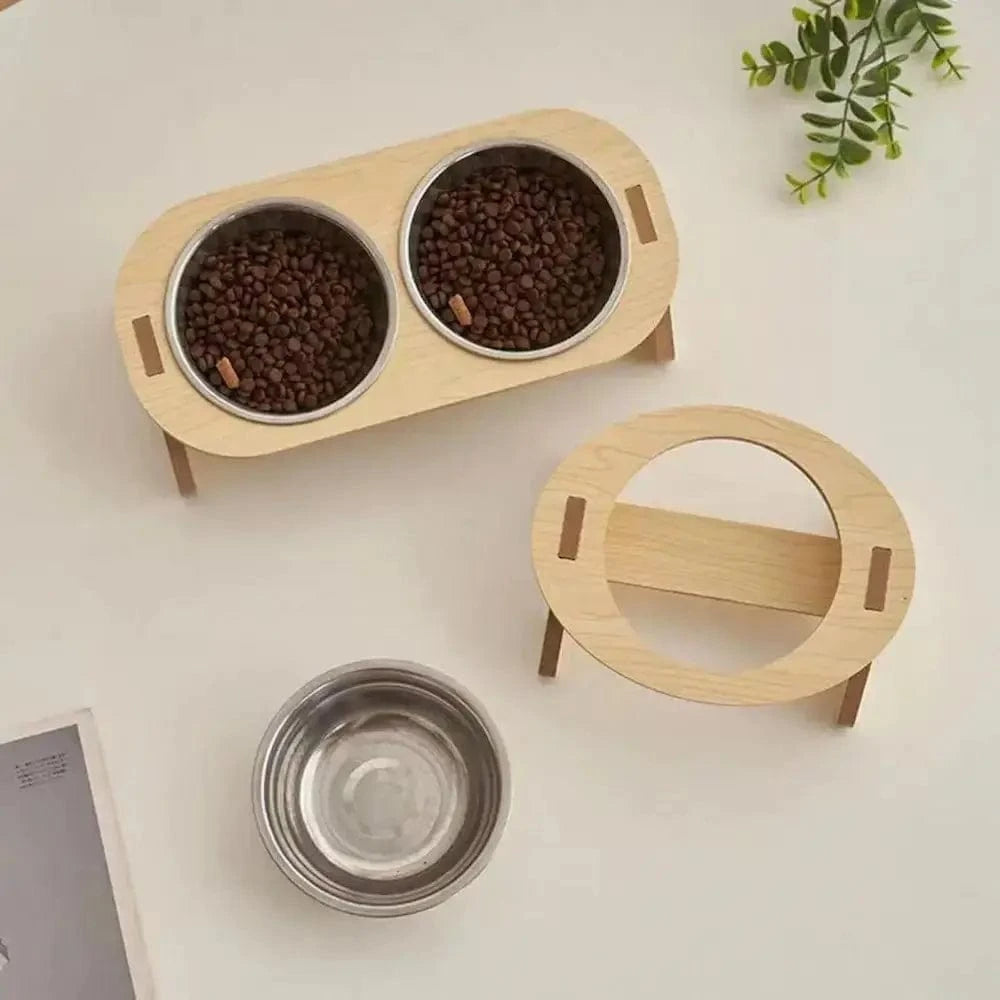 accessoire chat moderne