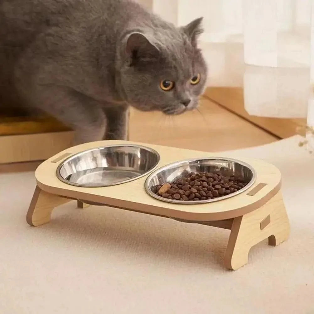 bol en inox chat
