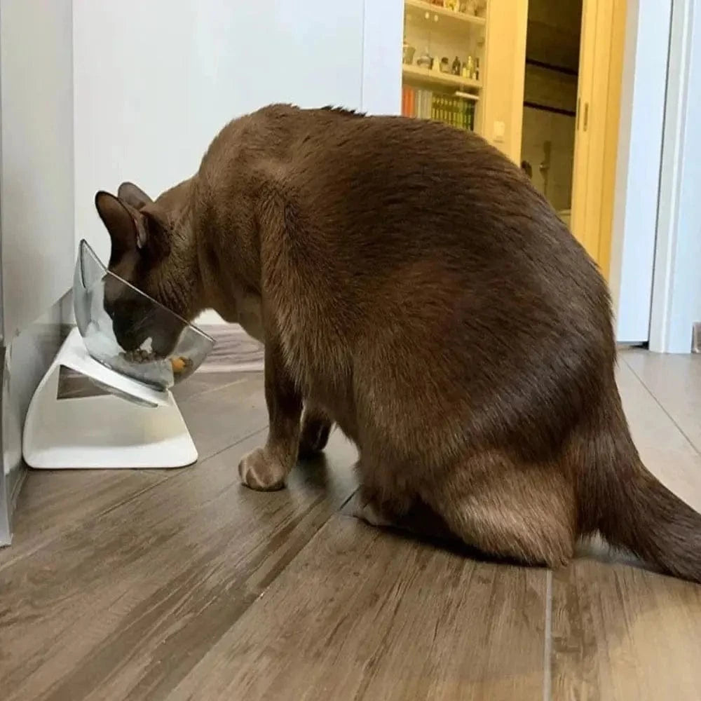 gamelle chat ZenCatShop