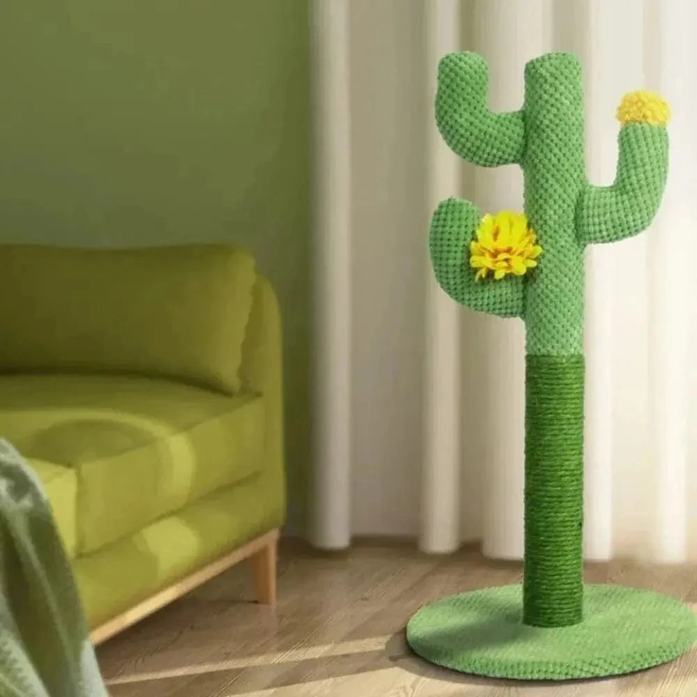 griffoir chat cactus