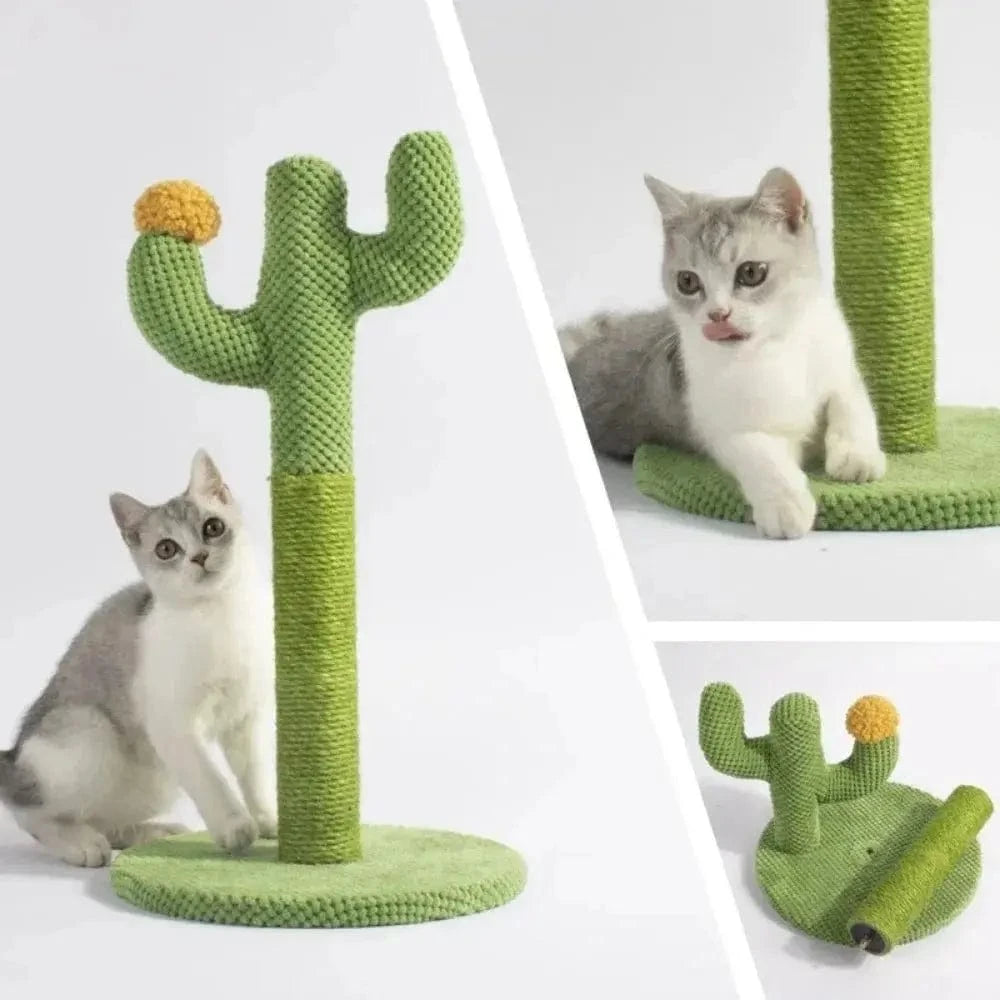 accessoire chat en forme de cactus
