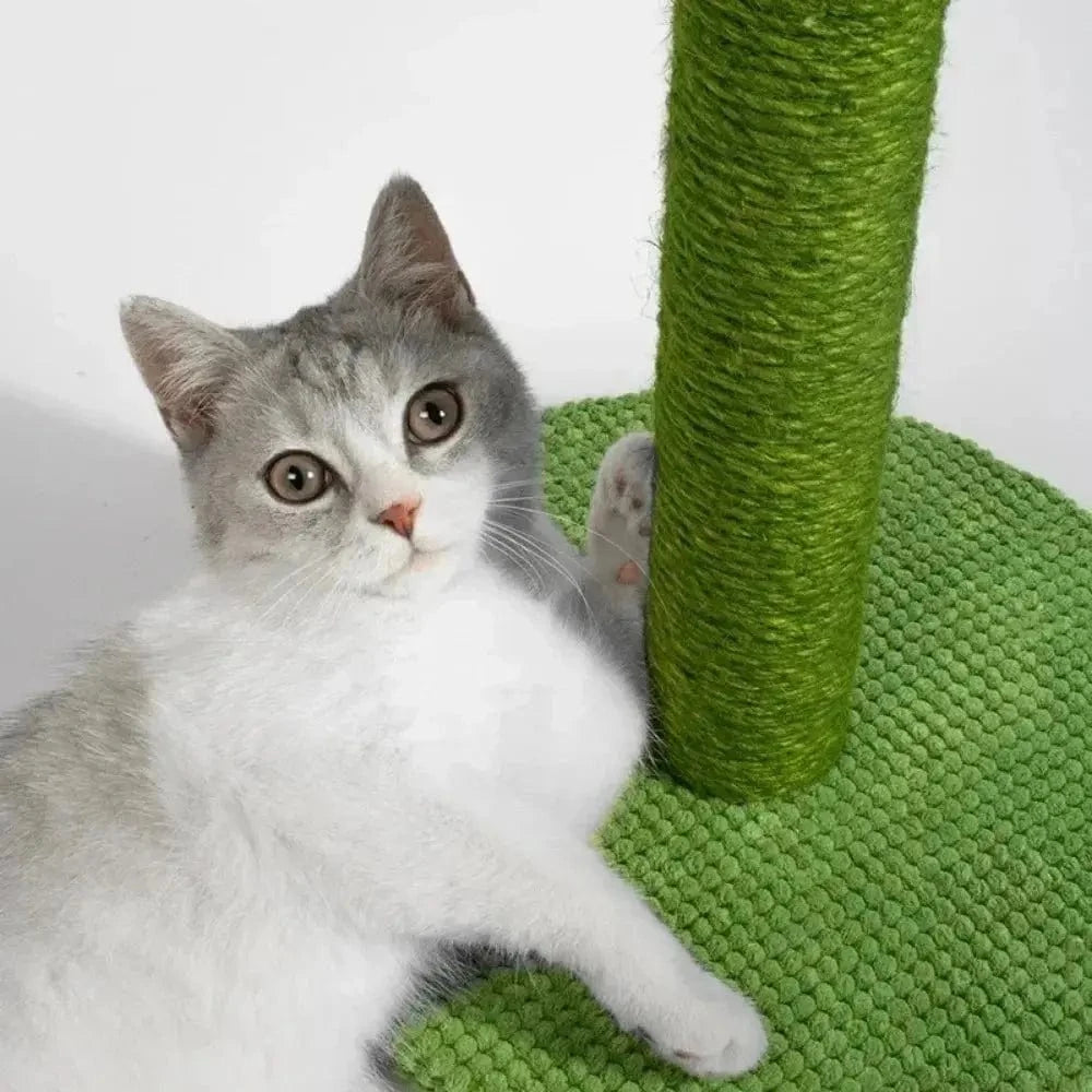 jouet cactus pour chat