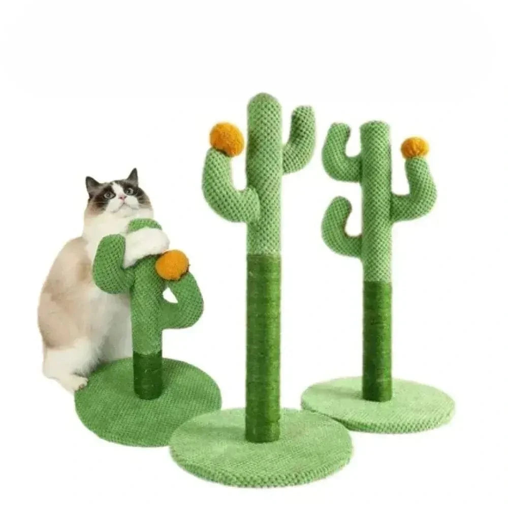 design ludique pour chats