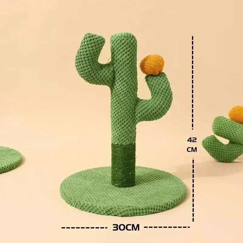 cactus griffoir attrayant