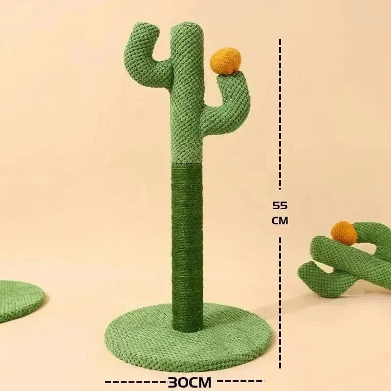 terrain de jeu pour chats cactus