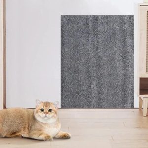 griffoir chat mural