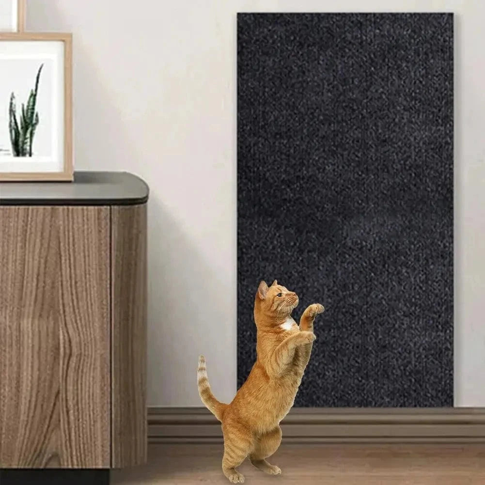 Tapis grattage canapé