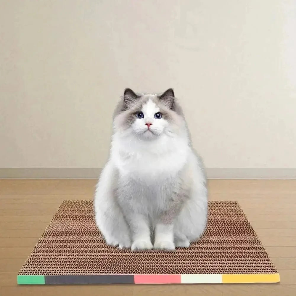 Griffoir chat design
