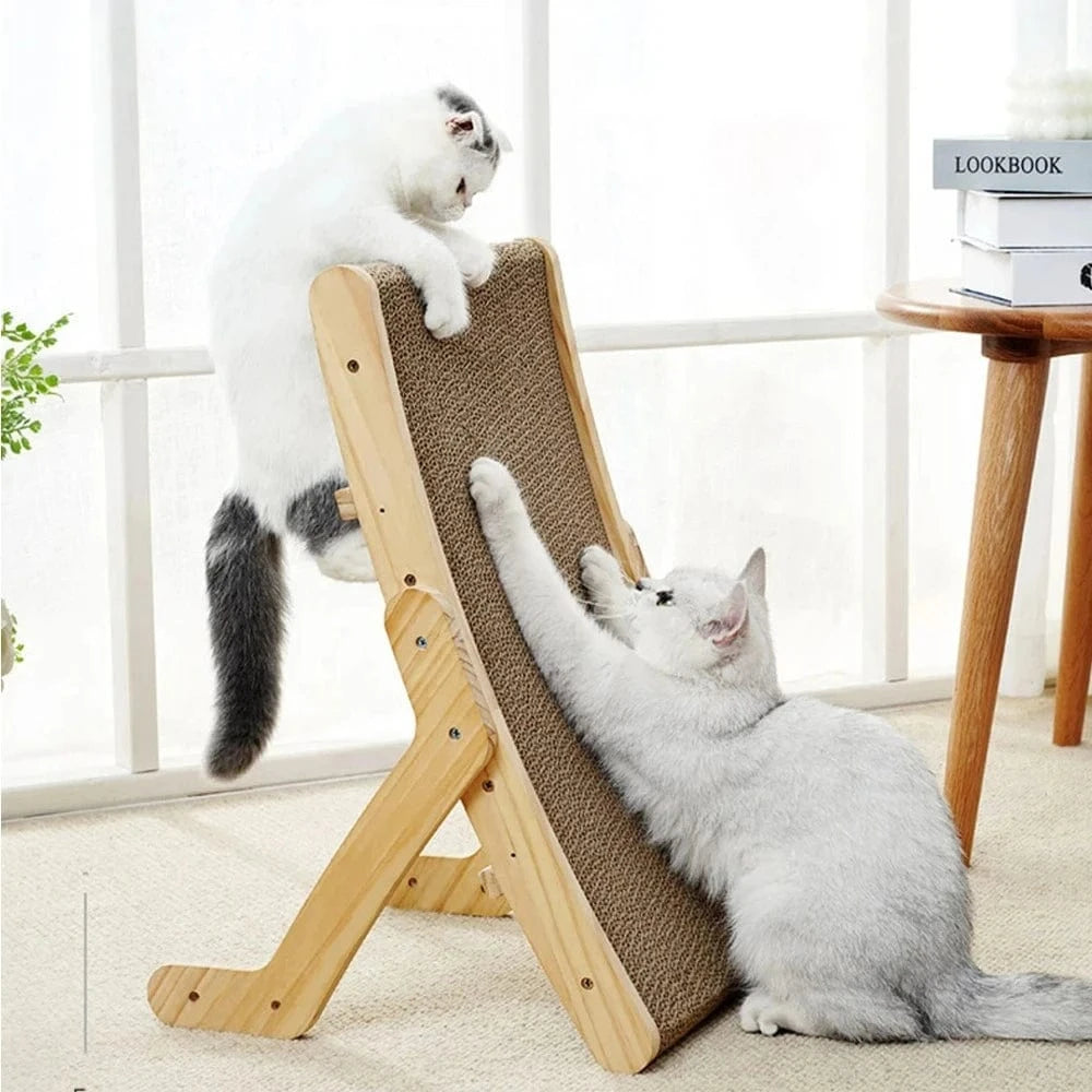 griffoir chat robuste
