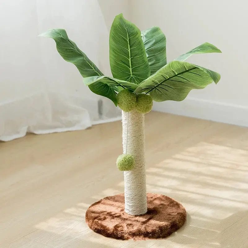 style cocotier pour chat