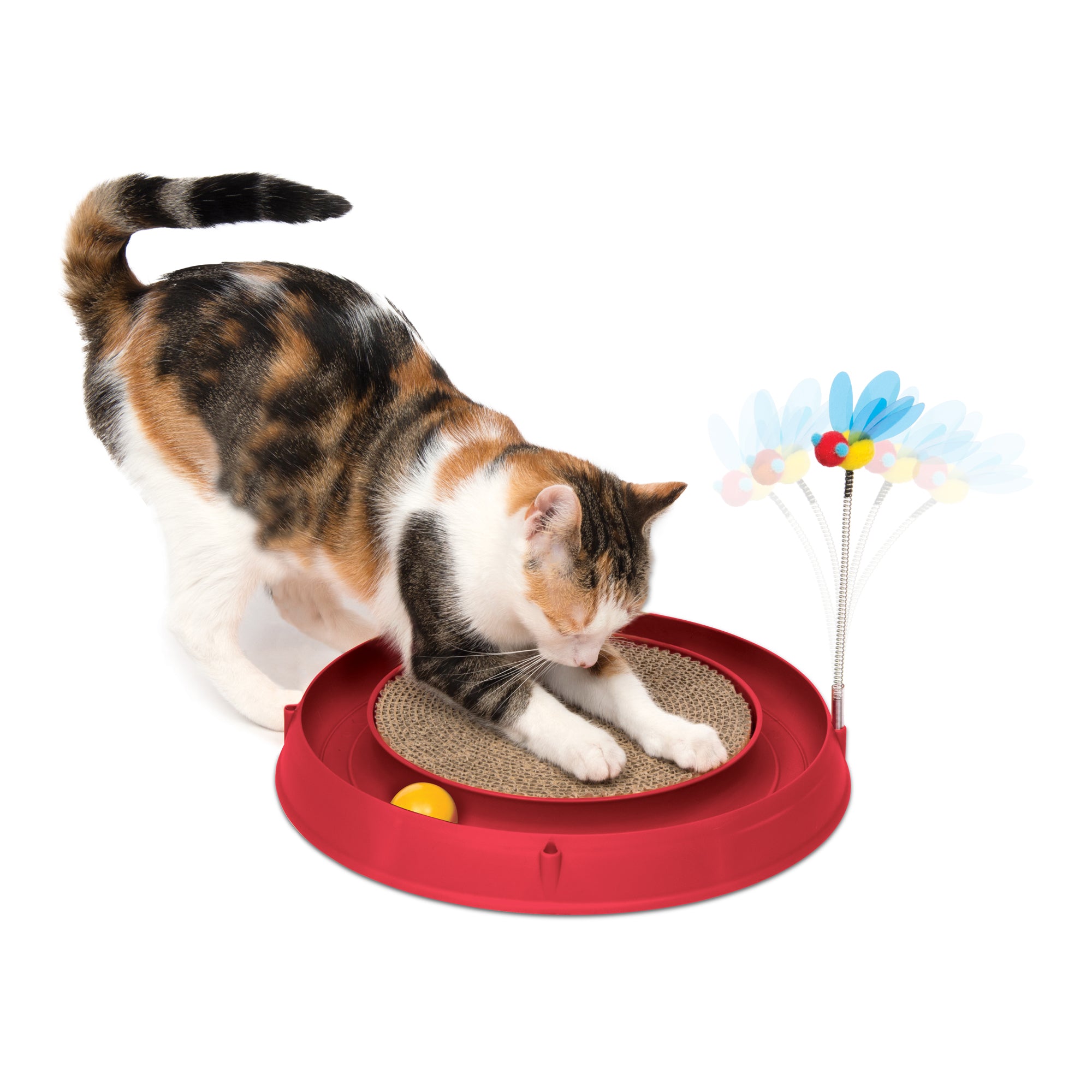 jouet pour chat en carton