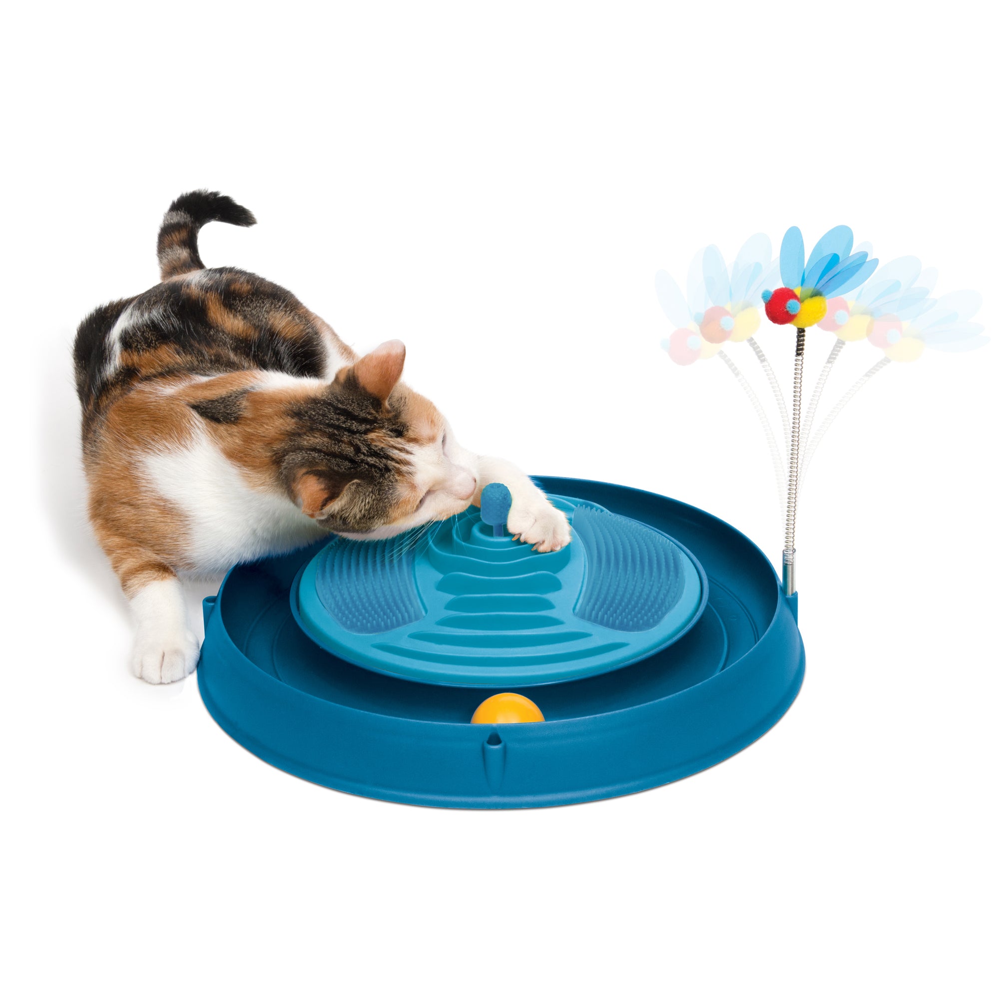 ZenCatShop choix de couleurs