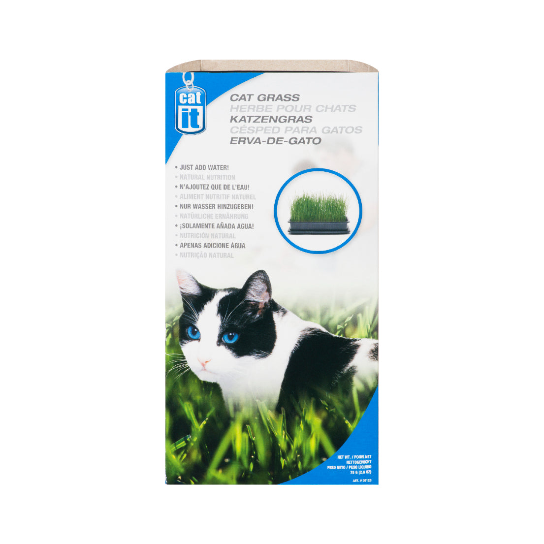 herbe Catit pour chats