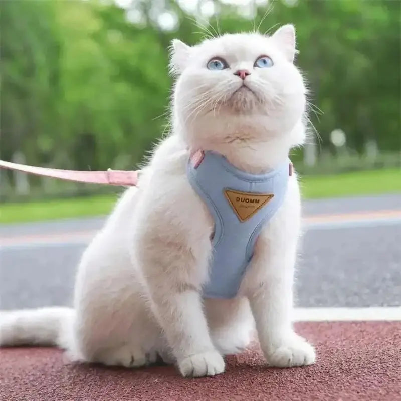 harnais chat résistant