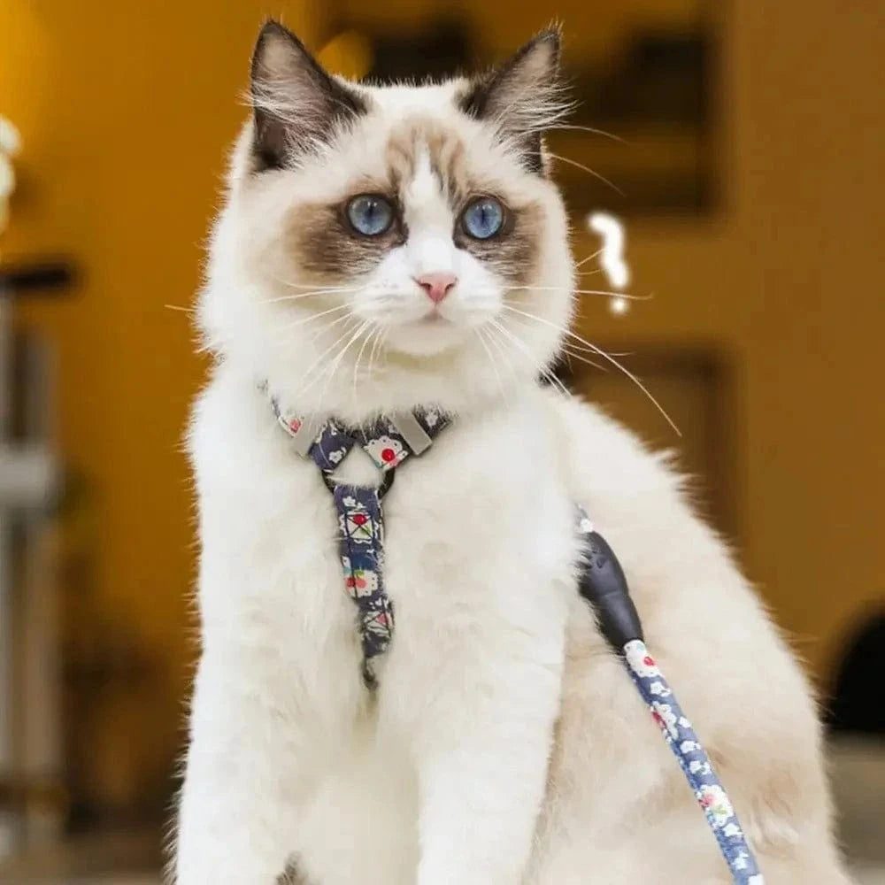 libération rapide harnais chat