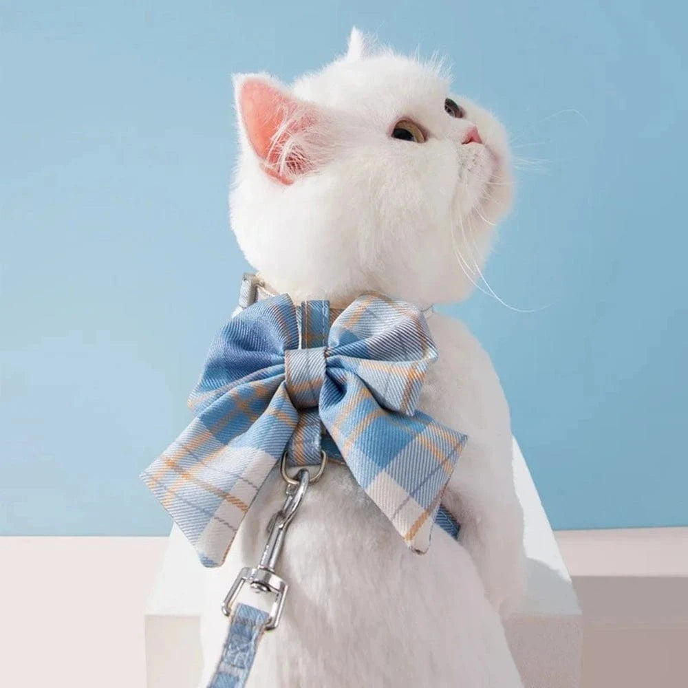 harnais chat élégant