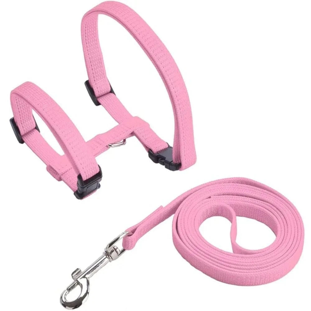 design ergonomique harnais chaton