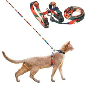 chat avec harnais Anti-fugue