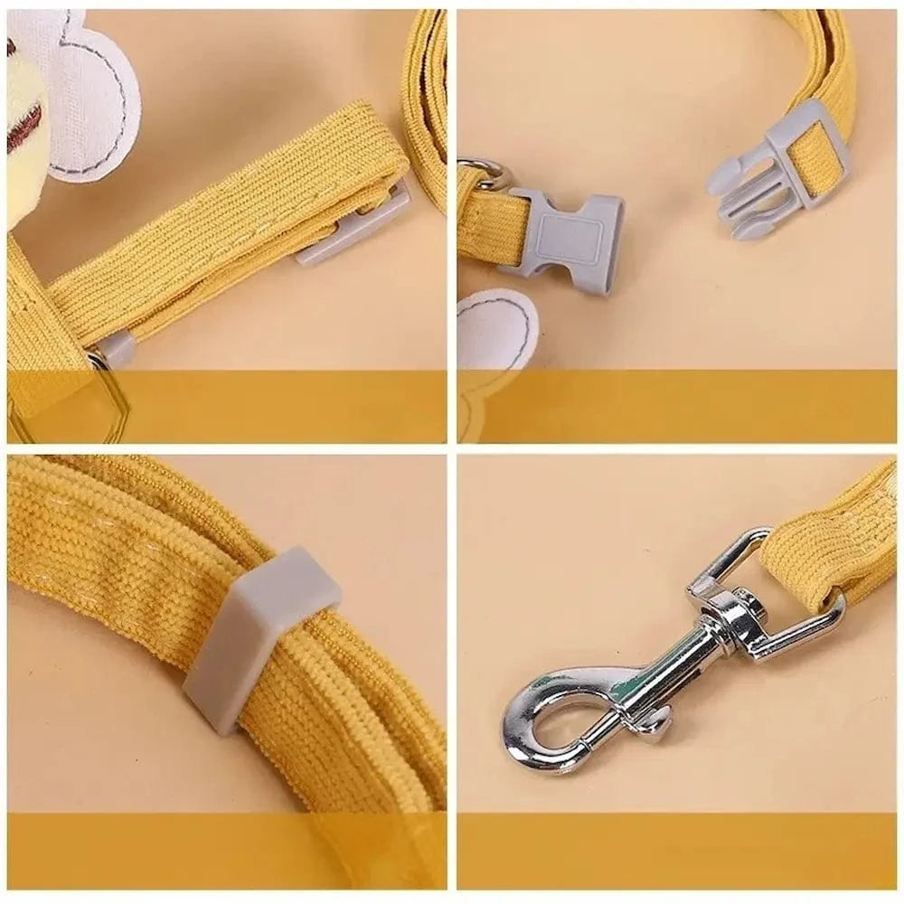 miniFit design élégant pour petit chat