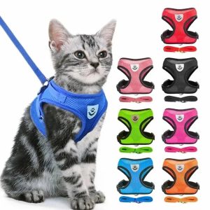 harnais réfléchissant chat