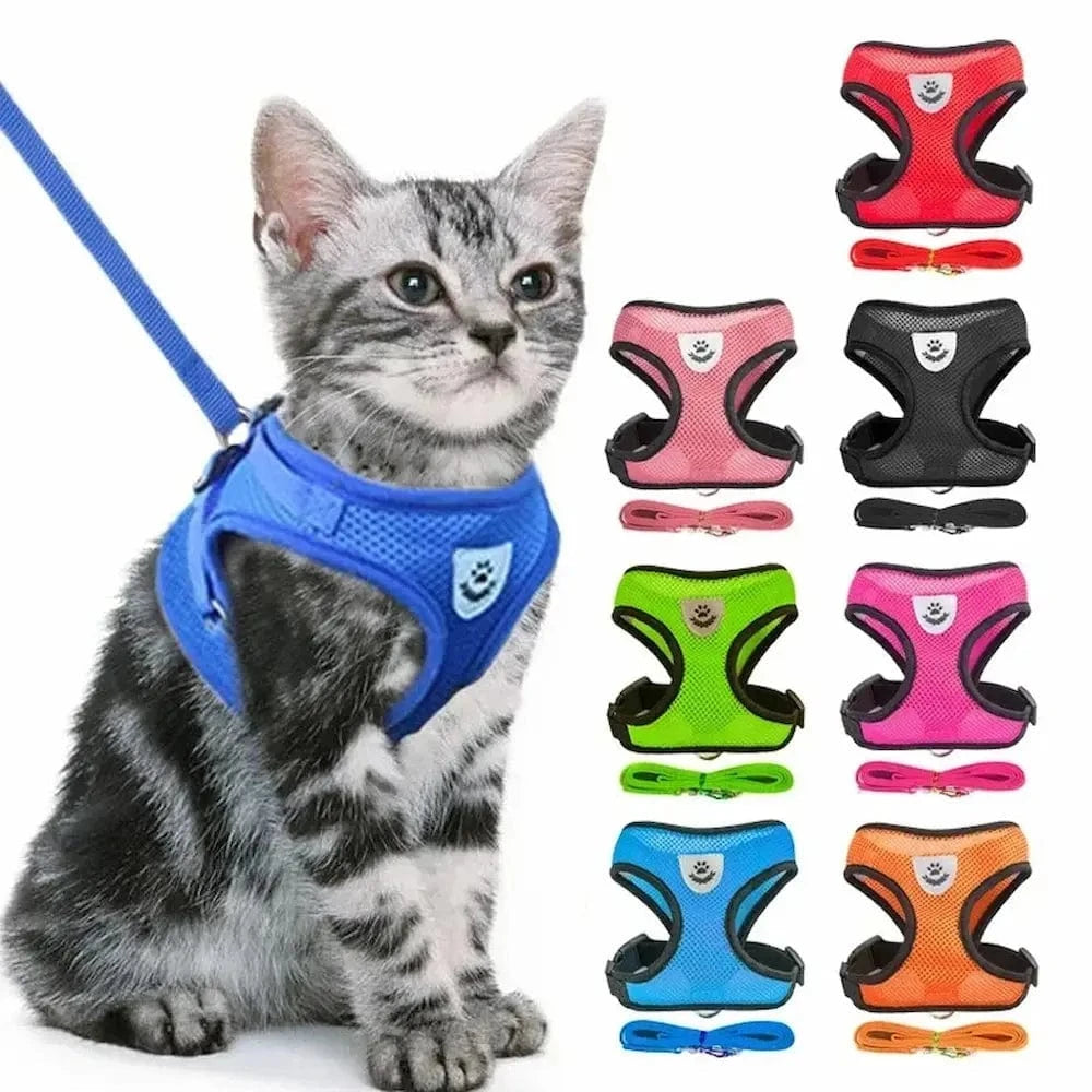 harnais réfléchissant chat