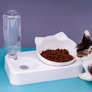 distributeur eau chat