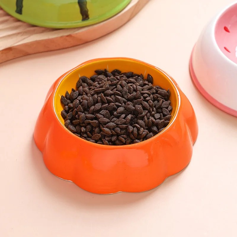 Gamelle colorée pour chat