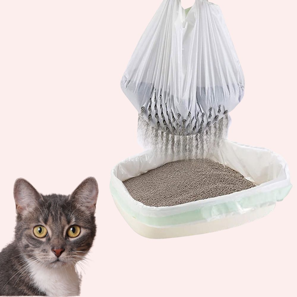 sacs litière chat