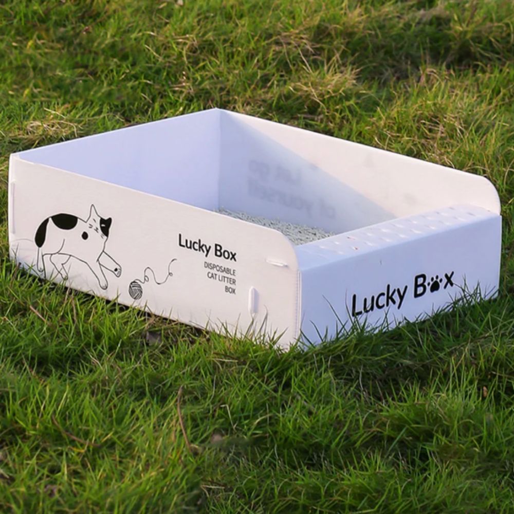 litière pliable légère