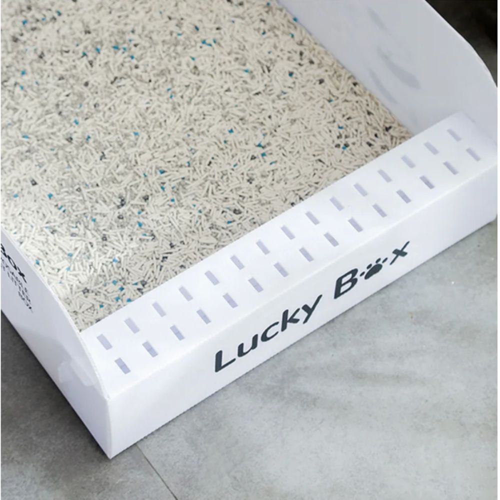 bac à litière compact