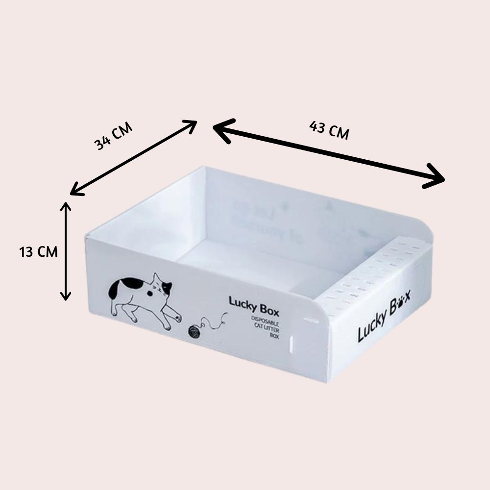 conteneur pliable de litière