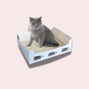 boite à litière en carton