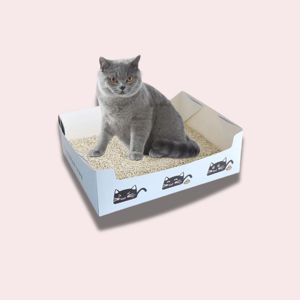 boite à litière en carton