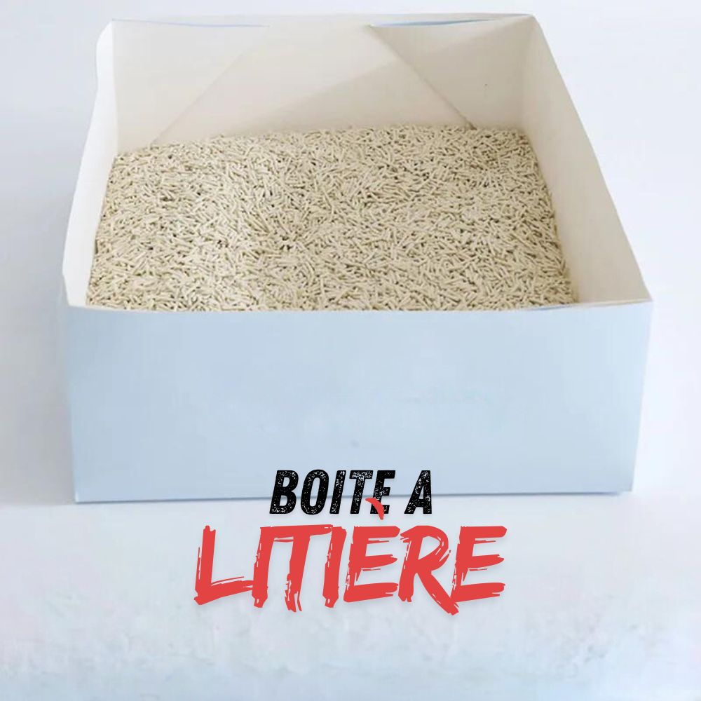 litière chat en carton