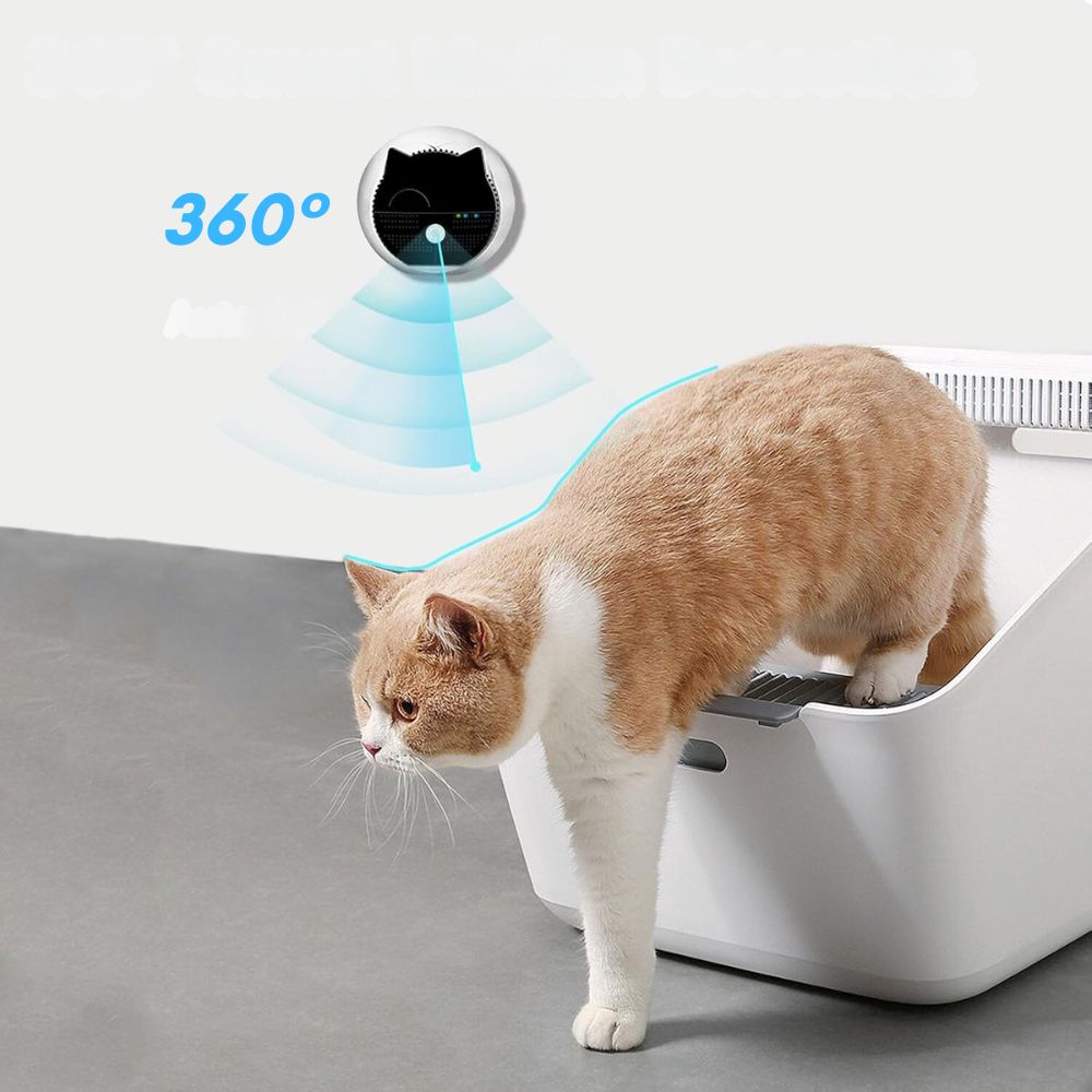 filtration air pour chat