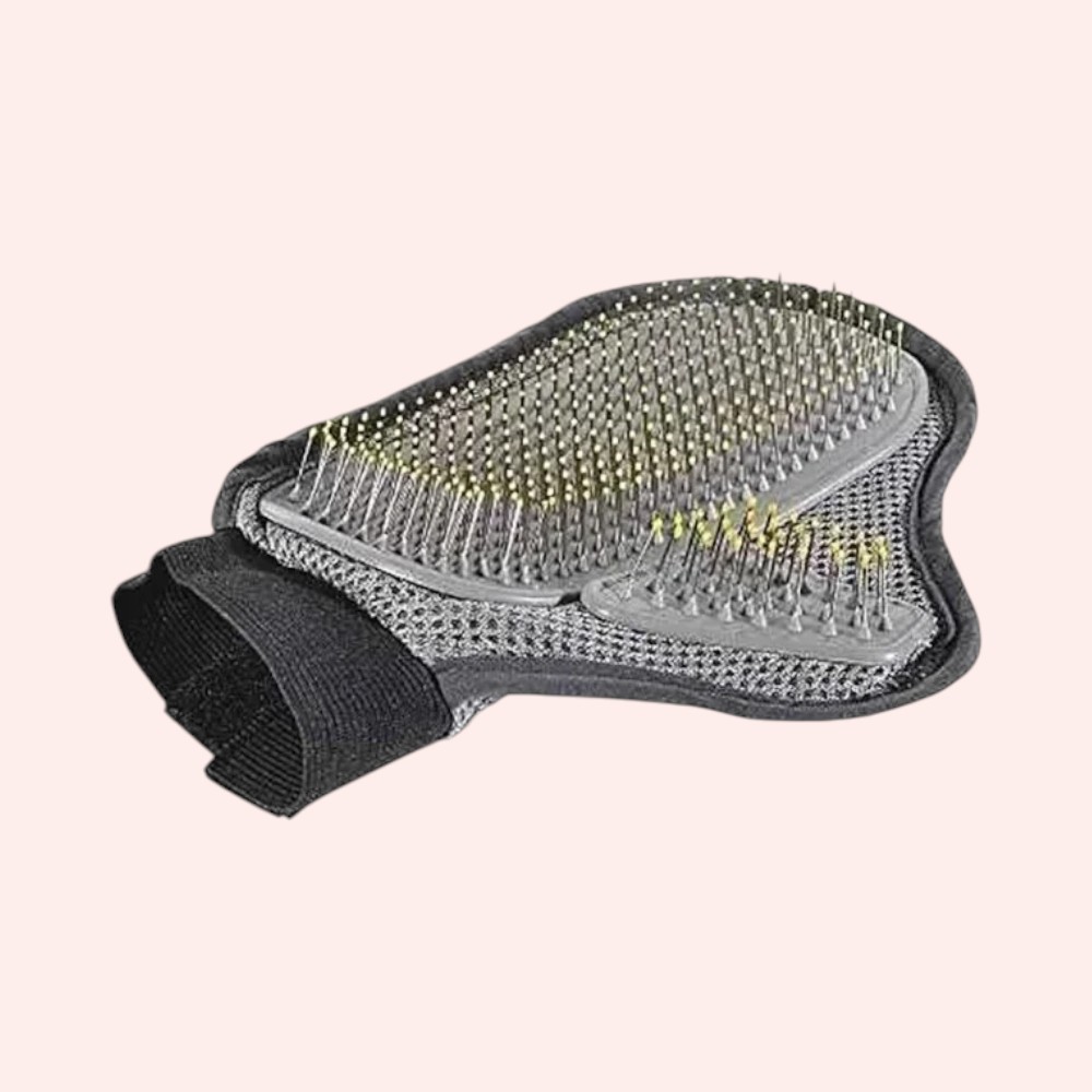 accessoire toilettage chat