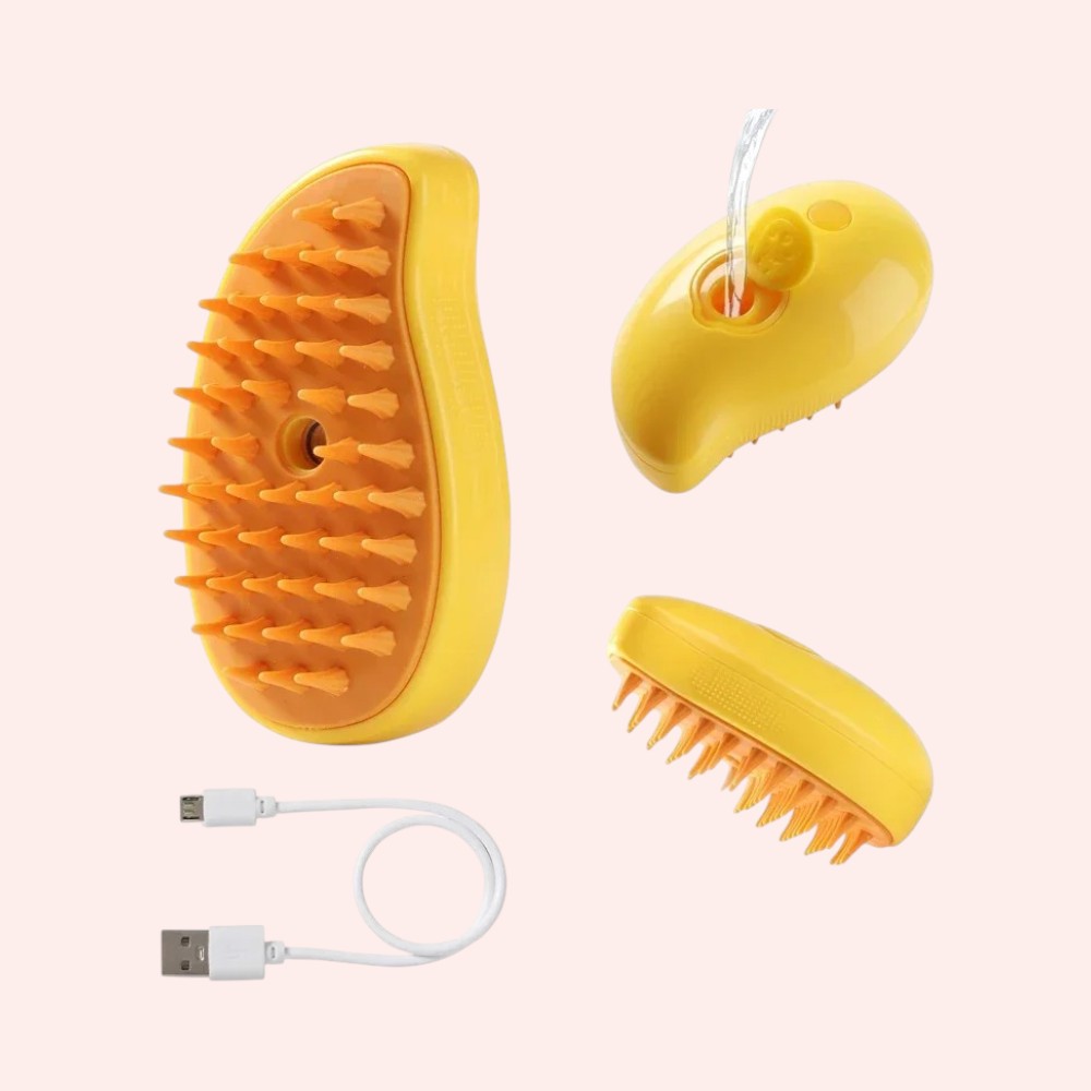 brosse nettoyante à vapeur
