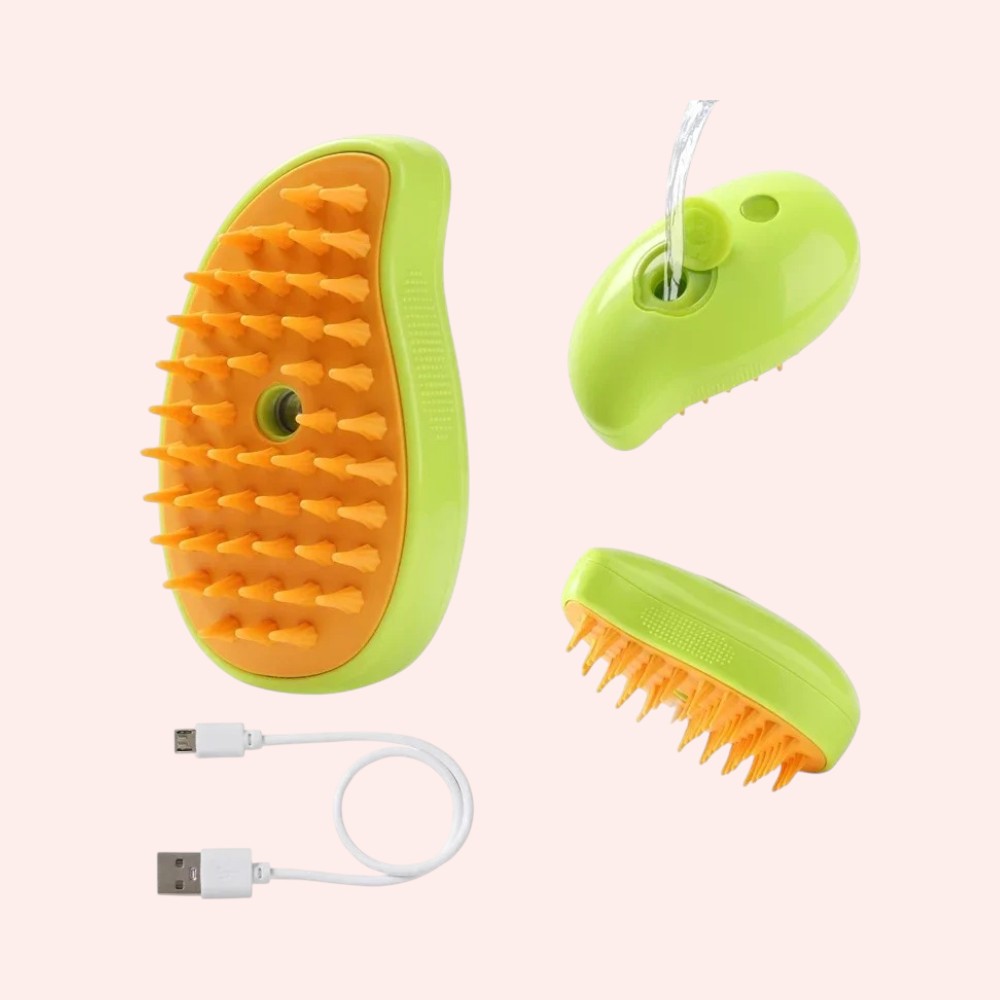 accessoire bain chat
