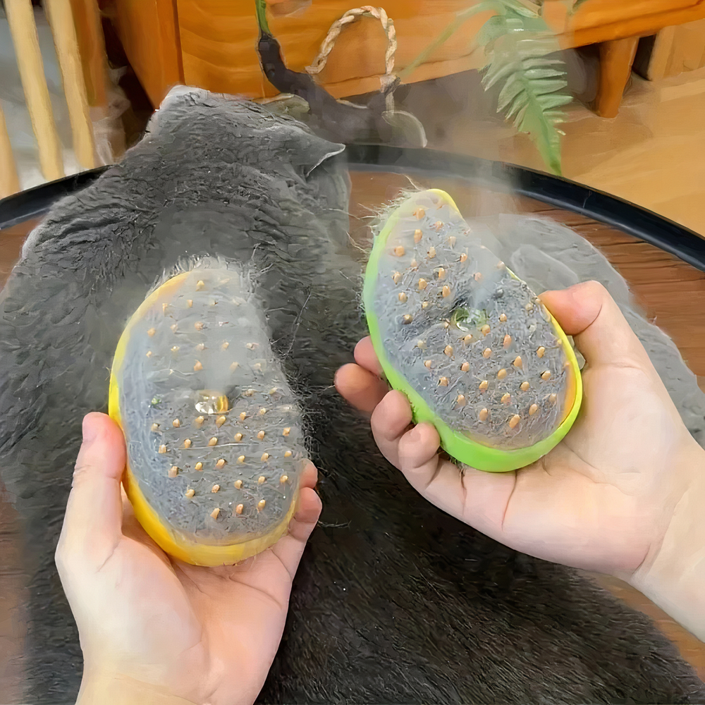 brosse pelage chat