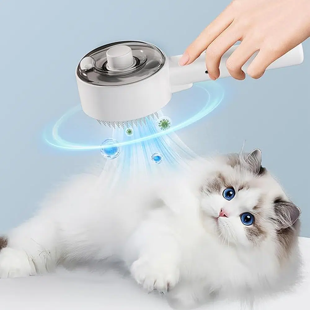 soin fourrure chat