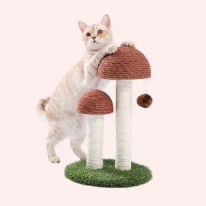 arbre à chat champignon