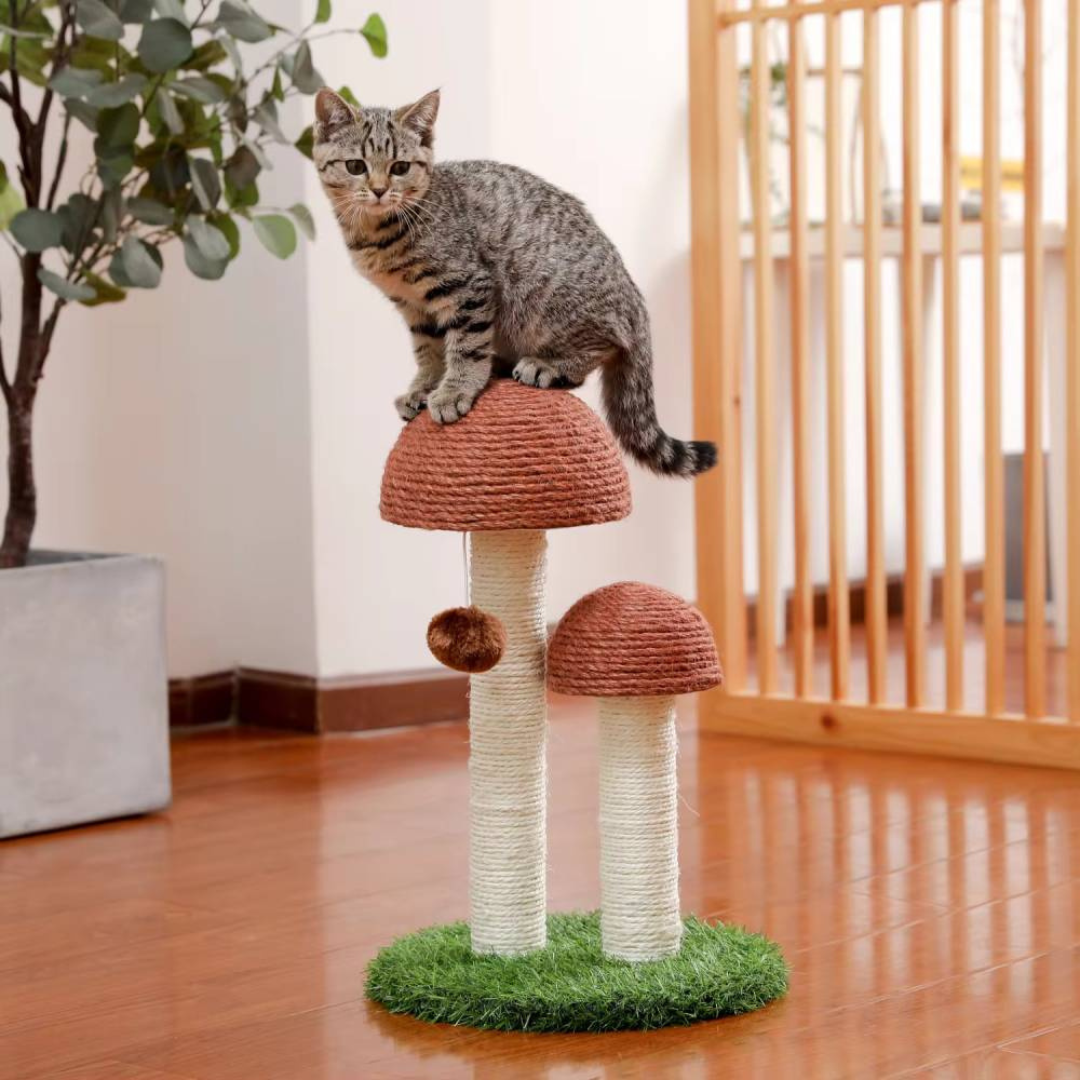 petit arbre à chat décoratif