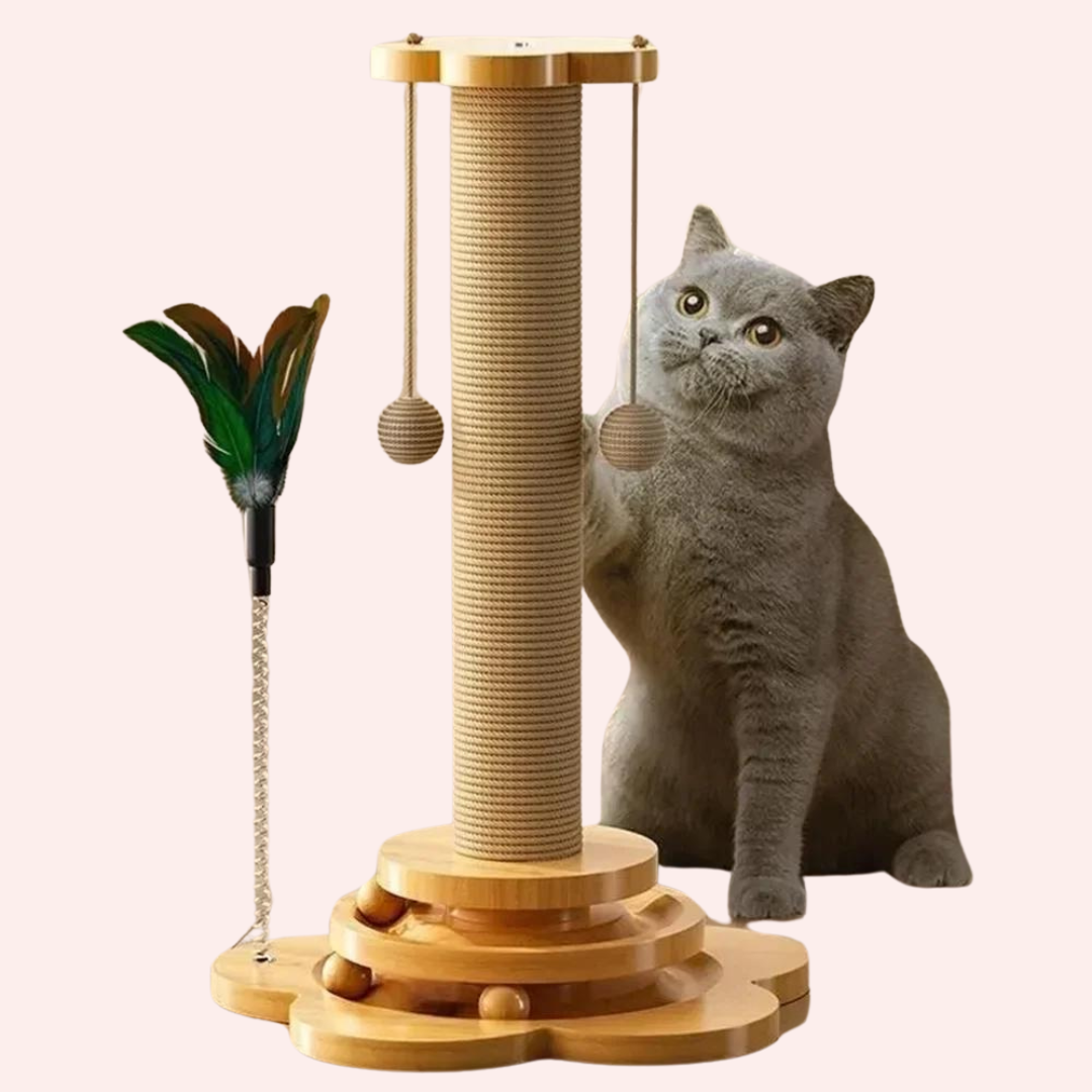 arbre à chat en bois