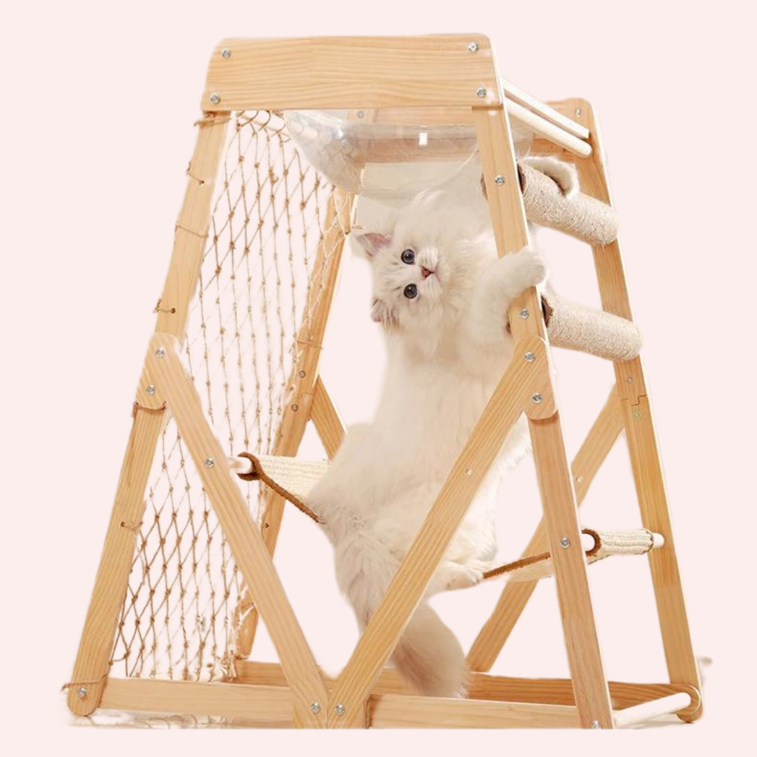 arbre à chat en bois