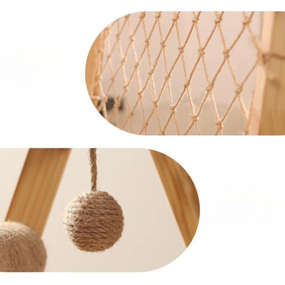 escalade pour chats
