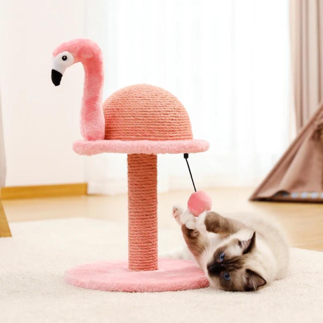 accessoire chat flambant rose