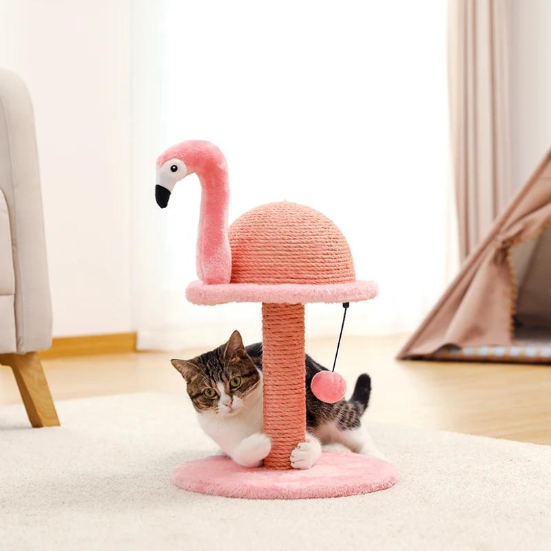 chat sur arbre flamant rose