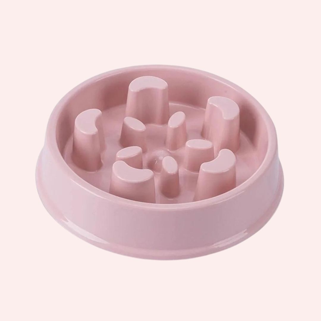 gamelle anti-glouton